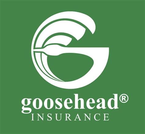 Goose head insurance. Things To Know About Goose head insurance. 